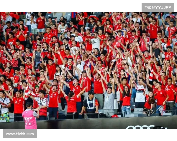 探索澳洲杯的核心数据指标：分析五大关键因素助力赛事成功